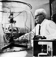 brattain walter