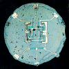 1961_ic_rtl.gif (62341 bytes)