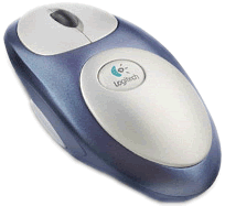mouse