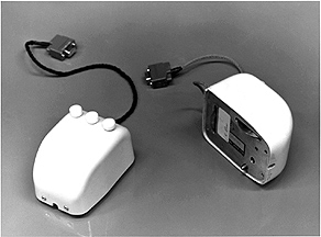mouse