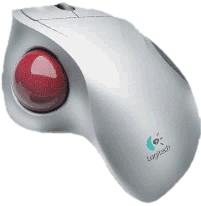 mouse